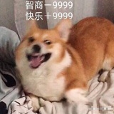 小纽扣