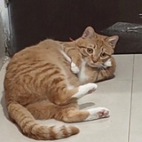 穿堂风