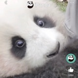 一碗咖啡