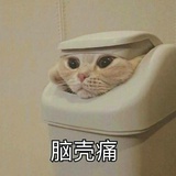 无聊吃瓜