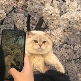 Re