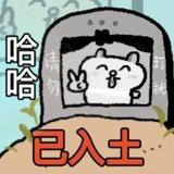 伤心木乃伊