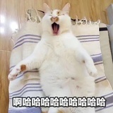 草莓味甜甜圈