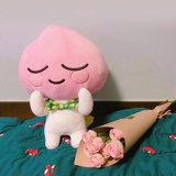 海上月是天上月