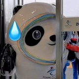 肥不爱睡觉
