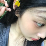 dsjszz