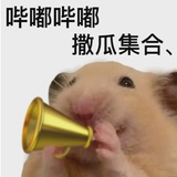 拉布布打DIMOO