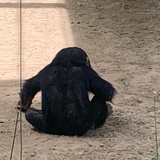 44次日落
