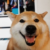 张大水