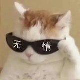 一只鸟人