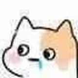 科科不好笑