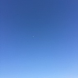 爱喝茶的维C