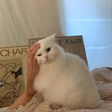 咕咕咕儿