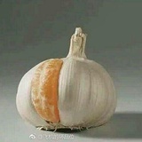 我没蒜可装