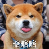 吴彦祖本人
