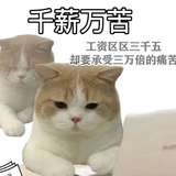 魔都小石头