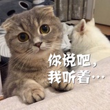 童谣