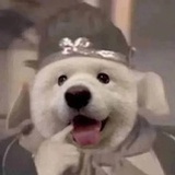 蔻红陈🐘