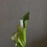 发面馍馍