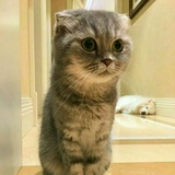 不饿不困不睡觉