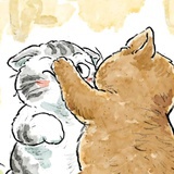 扣弦而歌