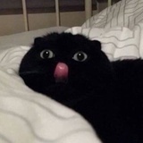 一土
