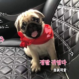 馄饨妹妹