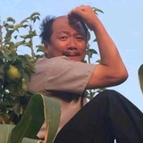 要一个黄昏