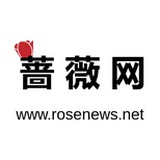 蔷薇网