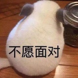 🐰爱吃胡萝卜