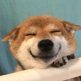晚的秋季