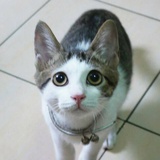人间不清醒