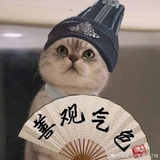 魔蝎座的我累了