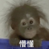 赵玉田我饿了