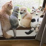 哔哔哔长期掉线