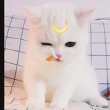 梦里不知身是客