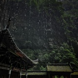 阿兹猫