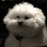 yuki