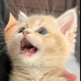 🥰