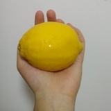 给你一朵柠檬
