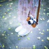 小豆芽