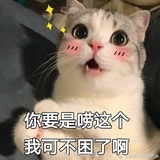 胖胖乙鱼哥哥