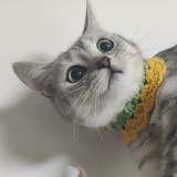 mmmya