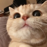 苏打不想吐泡泡