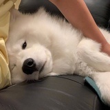 遇见你
