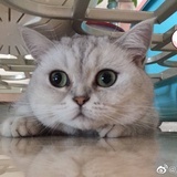 夏天要治好拖延