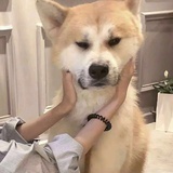 炸酱米粉