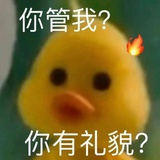 燕归处是归途
