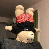 XXJ   🐼