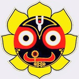 無欲蘭